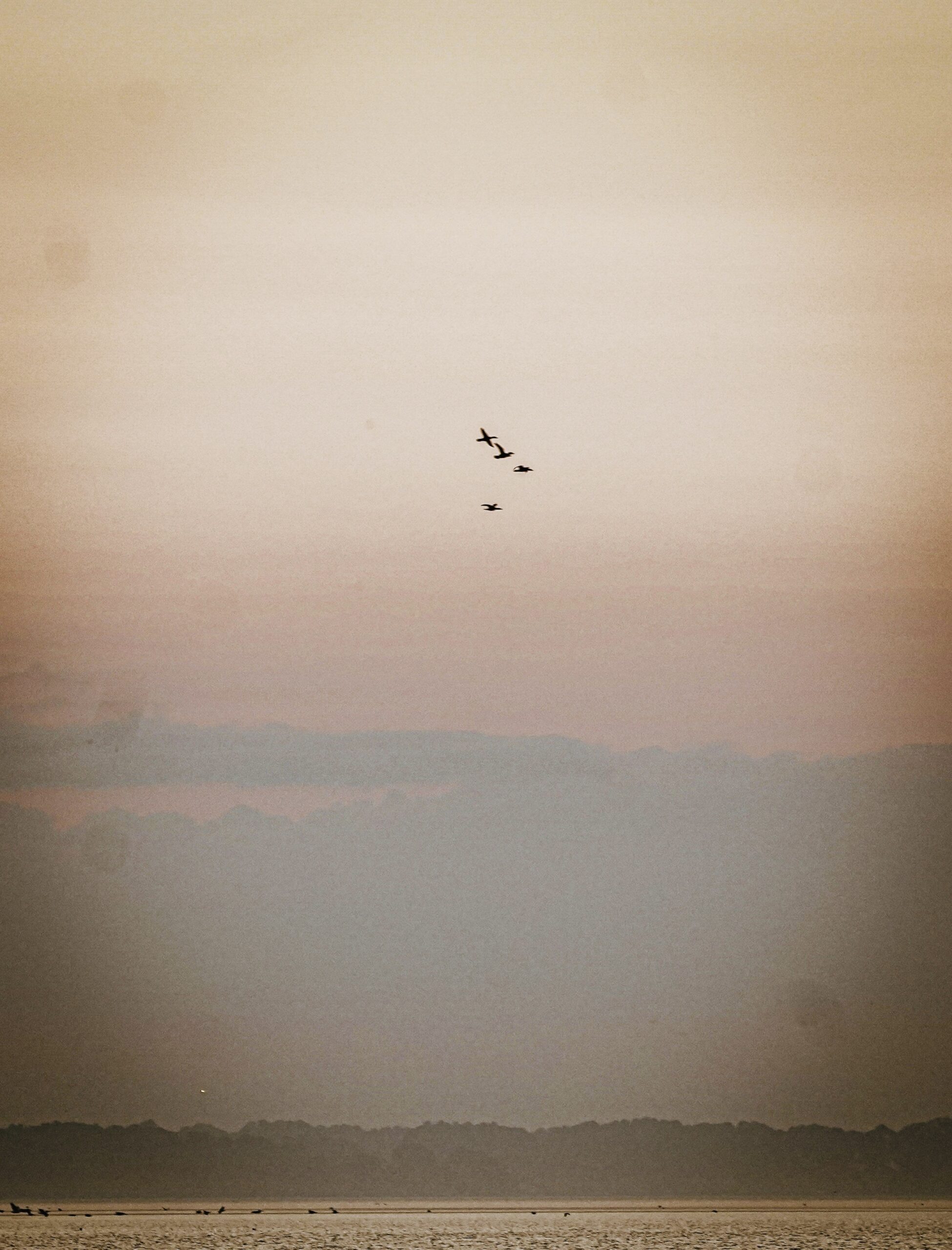 Dawn over the Barnett Reservoir, Mississippi