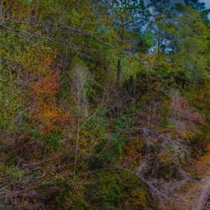 Illinois Central railroad tracks, Union, Mississippi