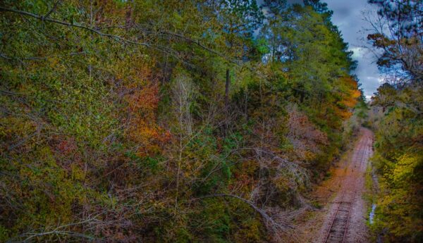 Illinois Central railroad tracks, Union, Mississippi