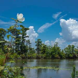 Manchac, Louisiana