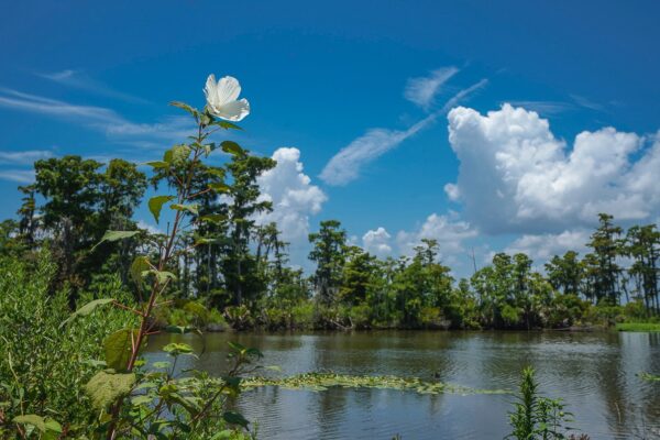 Manchac, Louisiana