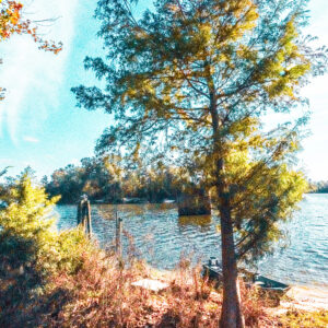 Ratliff Ferry, Barnett Reservoir, Mississippi