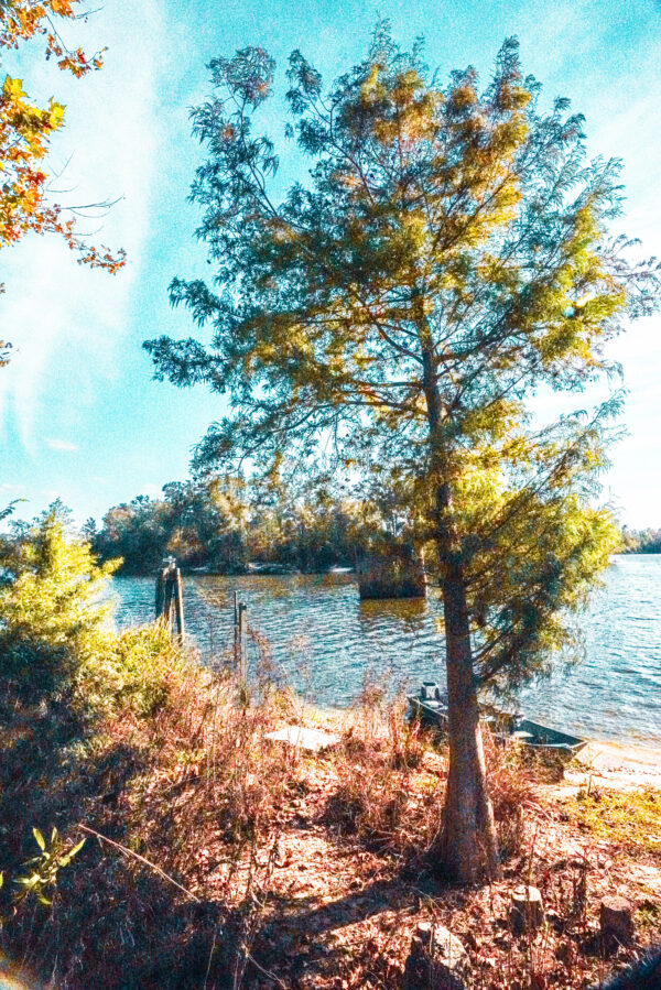 Ratliff Ferry, Barnett Reservoir, Mississippi