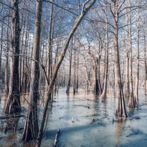 Sky Lake, Humphreys County, Mississippi