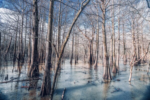 Sky Lake, Humphreys County, Mississippi