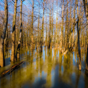 Sky Lake, Humphreys County, Mississippi