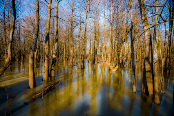 Sky Lake, Humphreys County, Mississippi