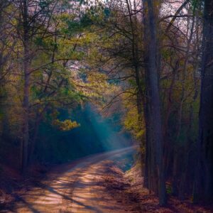 Sunbeam on a country road