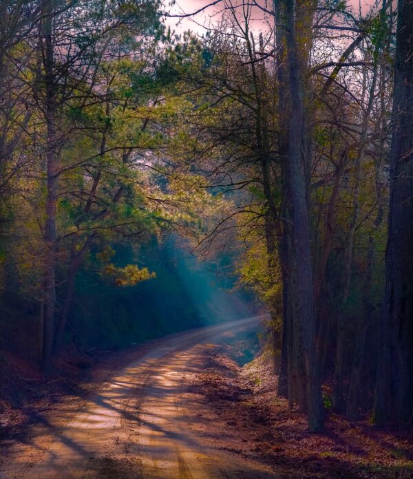 Sunbeam on a country road