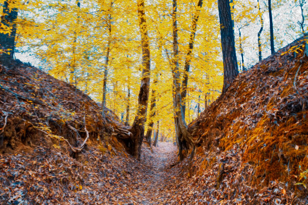 Natchez Trace, Mississippi